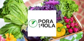 Pora na Pola wystartowało z kampanią na Crowdway Pora na Pola