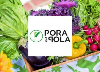 Pora na Pola planuje kampanię na Crowdway.pl na ok. 2,6 mln zł w I kw. Pora na Pola