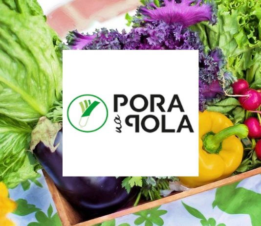 Pora na Pola