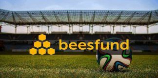 Legionovia, Start Gniezno, Stomil Olsztyn i Dziki Warszawa z apetytem na crowdfunding Sport na Beesfund