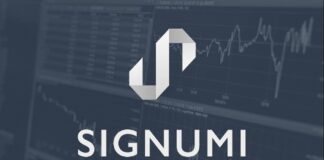 Signumi szykuje crowdfunding na Beesfund Signumi