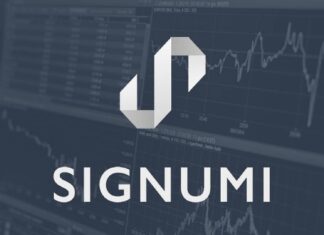 Signumi szykuje crowdfunding na Beesfund Signumi