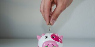 RE przyjęła rozporządzenie dot. platform crowdfundingowych finansowanie społecznościowe