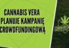 Cannabis Vera planuje crowdfunding udziałowy – polski producent konopii Cannabis Vera