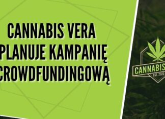 Cannabis Vera planuje crowdfunding udziałowy – polski producent konopii Cannabis Vera