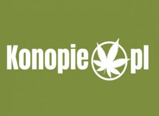 Konopie.pl S.A. z pomysłem kampanii crowdfundingowej na Beesfund konopie