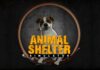 Animal Shelter