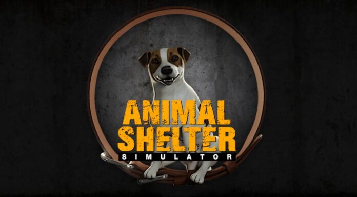 animal-shelter Animal Shelter