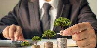 Jak rozwijać swój mały biznes poprzez crowdfunding? inwestowanie