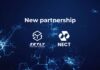 Partnerstwo Zetly & Nect Zetly, Nect