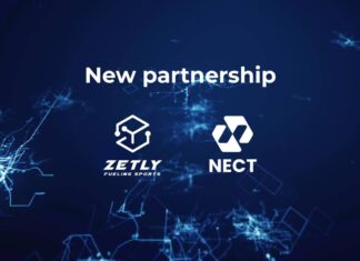 Partnerstwo Zetly & Nect Zetly, Nect
